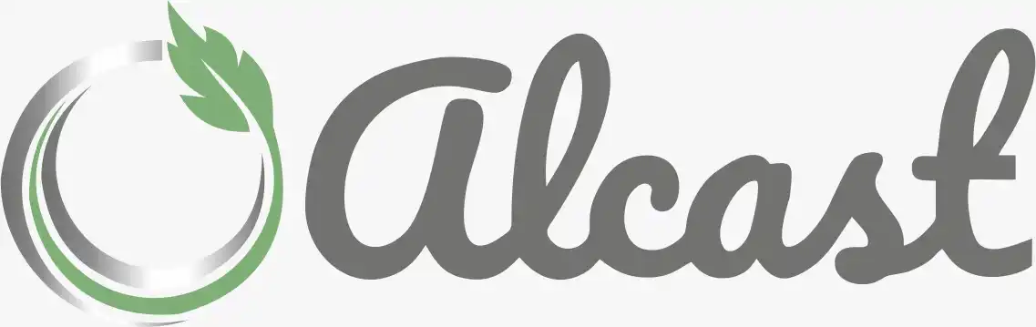 ALCAST SYNERGIES PRIVATE LIMITED