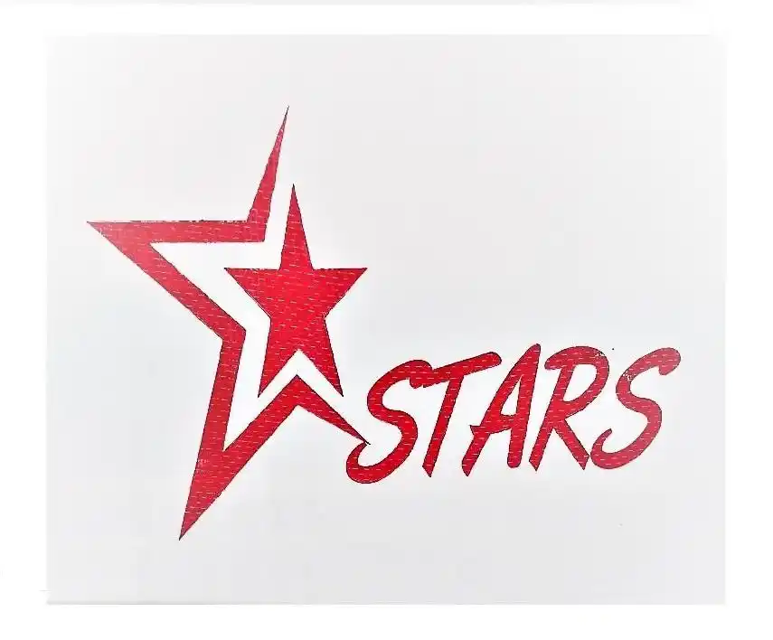 STARS ALUMINIUM EXTRUSION PRIVATE LIMITED